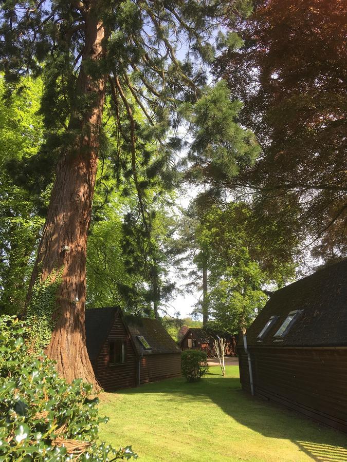 Huntingtower Lodges Пърт Екстериор снимка